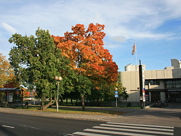 Helene Schjerfbeckin puistikko